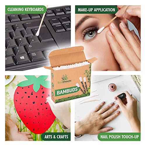EcoShoots Bamboo Cotton Buds - 400 Organic Cotton Wool Buds Q Tips - Biodegradable Cotton Ear Buds & Compostable Bamboo Earbuds - Recycled Plastic Free Packaging - GOTS Certified Ear Buds Cotton 5 EcoShoots Bamboo Cotton Buds - 400 Organic Cotton Wool Buds Q Tips - Biodegradable Cotton Ear Buds & Compostable Bamboo Earbuds - Recycled Plastic Free Packaging - GOTS Certified Ear Buds Cotton - Image 5