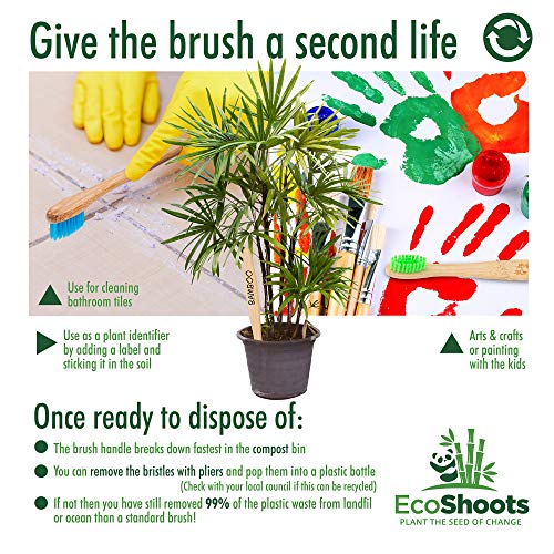 EcoShoots Adults Bamboo Toothbrushes with Medium Bristles | Family Pack of 5 Natural Bamboo Toothbrush | Eco-Friendly Natural Wooden Toothbrush | Organic Biodegradable Handle | BPA Free Tooth Brushes 7 EcoShoots Adults Bamboo Toothbrushes with Medium Bristles | Family Pack of 5 Natural Bamboo Toothbrush | Eco-Friendly Natural Wooden Toothbrush | Organic Biodegradable Handle | BPA Free Tooth Brushes - Image 7