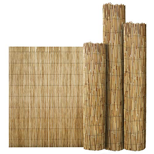 FlickBuyz Bamboo Natural Garden Peeled Reed Fence Screening Roll Privacy Border Wooden Wind/Sun Protection (1M x 4M) 1 FlickBuyz Bamboo Natural Garden Peeled Reed Fence Screening Roll Privacy Border Wooden Wind/Sun Protection (1M x 4M)