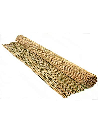 FlickBuyz Natural Peeled Reed Fence Wooden Garden Screen Bamboo Fencing Privacy Panel Roll Wind/Sun Protection (1m x 4m) 5 FlickBuyz Natural Peeled Reed Fence Wooden Garden Screen Bamboo Fencing Privacy Panel Roll Wind/Sun Protection (1m x 4m) - Image 5