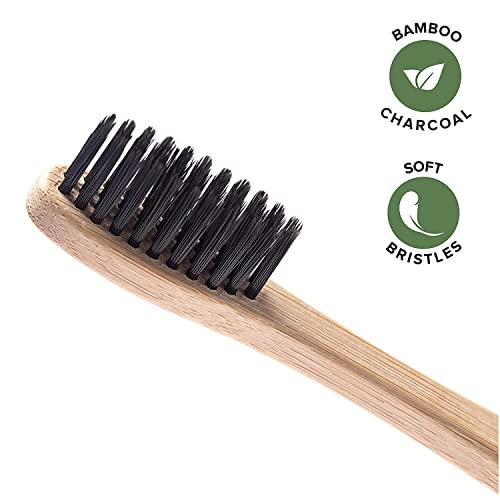 Greenzla Bamboo Toothbrushes (12 Pack) | BPA Free Soft Bristles | Eco-Friendly, Natural Bamboo Toothbrush Set | Biodegradable & Compostable Charcoal Wooden Toothbrushes 3 Greenzla Bamboo Toothbrushes (12 Pack) | BPA Free Soft Bristles | Eco-Friendly, Natural Bamboo Toothbrush Set | Biodegradable & Compostable Charcoal Wooden Toothbrushes - Image 3