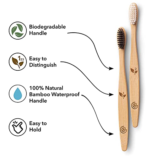 Greenzla Bamboo Toothbrushes (12 Pack) | BPA Free Soft Bristles | Eco-Friendly, Natural Bamboo Toothbrush Set | Biodegradable & Compostable Charcoal Wooden Toothbrushes 4 Greenzla Bamboo Toothbrushes (12 Pack) | BPA Free Soft Bristles | Eco-Friendly, Natural Bamboo Toothbrush Set | Biodegradable & Compostable Charcoal Wooden Toothbrushes - Image 4