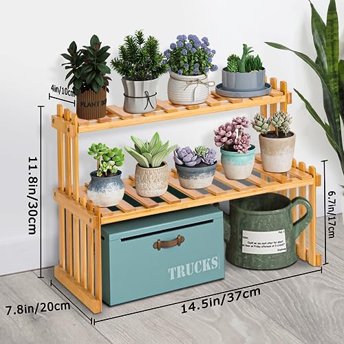 2 Tier Bamboo Plant Shelf, 37cm Indoor Succulent Stand, Multi Plant Stand, Tabletop Plant Organizer, Rustic Plant Ladder Shelf, Desktop Plant Rack 2 2 Tier Bamboo Plant Shelf, 37cm Indoor Succulent Stand, Multi Plant Stand, Tabletop Plant Organizer, Rustic Plant Ladder Shelf, Desktop Plant Rack - Image 2