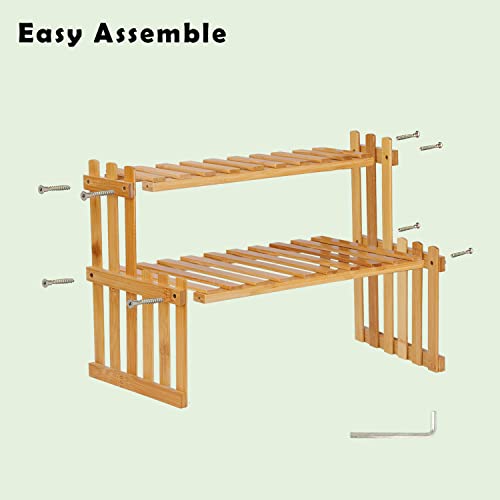 2 Tier Bamboo Plant Shelf, 37cm Indoor Succulent Stand, Multi Plant Stand, Tabletop Plant Organizer, Rustic Plant Ladder Shelf, Desktop Plant Rack 3 2 Tier Bamboo Plant Shelf, 37cm Indoor Succulent Stand, Multi Plant Stand, Tabletop Plant Organizer, Rustic Plant Ladder Shelf, Desktop Plant Rack - Image 3
