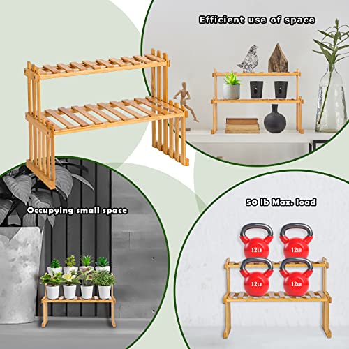 2 Tier Bamboo Plant Shelf, 37cm Indoor Succulent Stand, Multi Plant Stand, Tabletop Plant Organizer, Rustic Plant Ladder Shelf, Desktop Plant Rack 5 2 Tier Bamboo Plant Shelf, 37cm Indoor Succulent Stand, Multi Plant Stand, Tabletop Plant Organizer, Rustic Plant Ladder Shelf, Desktop Plant Rack - Image 5