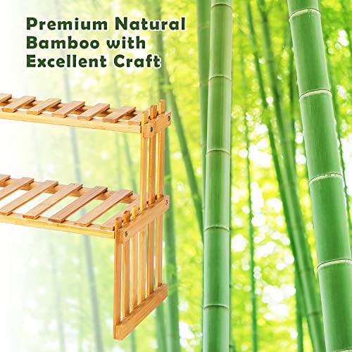 2 Tier Bamboo Plant Shelf, 37cm Indoor Succulent Stand, Multi Plant Stand, Tabletop Plant Organizer, Rustic Plant Ladder Shelf, Desktop Plant Rack 6 2 Tier Bamboo Plant Shelf, 37cm Indoor Succulent Stand, Multi Plant Stand, Tabletop Plant Organizer, Rustic Plant Ladder Shelf, Desktop Plant Rack - Image 6