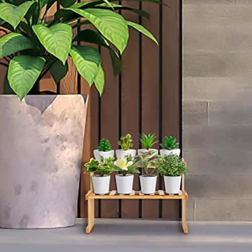2 Tier Bamboo Plant Shelf, 37cm Indoor Succulent Stand, Multi Plant Stand, Tabletop Plant Organizer, Rustic Plant Ladder Shelf, Desktop Plant Rack 7 2 Tier Bamboo Plant Shelf, 37cm Indoor Succulent Stand, Multi Plant Stand, Tabletop Plant Organizer, Rustic Plant Ladder Shelf, Desktop Plant Rack - Image 7
