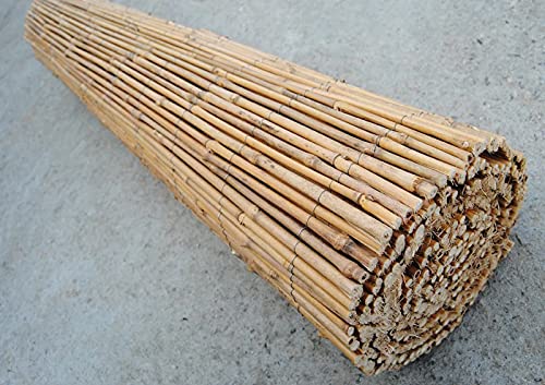 Abaseen Extra Thick Natural Peeled Reed Fence, Garden Screening Fence Panels, Privacy & Protective Screening Roll for Outdoor Wind and Sun Protection (8mm-10mm Thickness) 2 Abaseen Extra Thick Natural Peeled Reed Fence, Garden Screening Fence Panels, Privacy & Protective Screening Roll for Outdoor Wind and Sun Protection (8mm-10mm Thickness) - Image 2