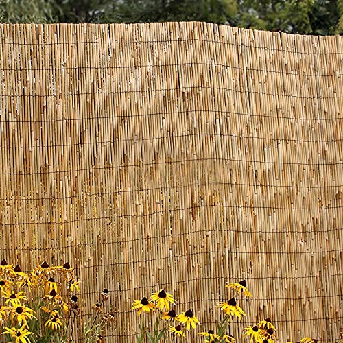 Abaseen Extra Thick Natural Peeled Reed Fence, Garden Screening Fence Panels, Privacy & Protective Screening Roll for Outdoor Wind and Sun Protection (8mm-10mm Thickness) 4 Abaseen Extra Thick Natural Peeled Reed Fence, Garden Screening Fence Panels, Privacy & Protective Screening Roll for Outdoor Wind and Sun Protection (8mm-10mm Thickness) - Image 4
