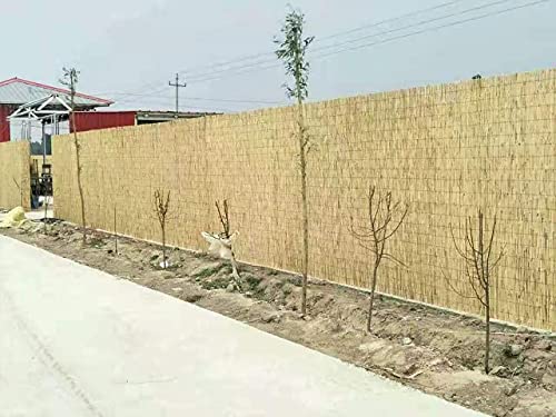 Abaseen Extra Thick Natural Peeled Reed Fence, Garden Screening Fence Panels, Privacy & Protective Screening Roll for Outdoor Wind and Sun Protection (8mm-10mm Thickness) 7 Abaseen Extra Thick Natural Peeled Reed Fence, Garden Screening Fence Panels, Privacy & Protective Screening Roll for Outdoor Wind and Sun Protection (8mm-10mm Thickness) - Image 7