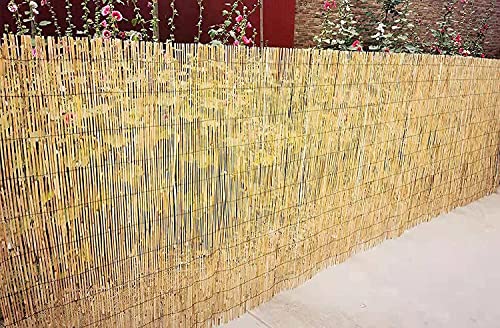 Abaseen Natural Split Reed Fence Hand-Woven Screening for Garden Natural Window Roller Blind Outdoor Bamboo Shades for Patio Gallery Balcony Decorative Fences (1m x 4m) 4 Abaseen Natural Split Reed Fence Hand-Woven Screening for Garden Natural Window Roller Blind Outdoor Bamboo Shades for Patio Gallery Balcony Decorative Fences (1m x 4m) - Image 4