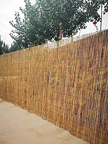 Abaseen Natural Split Reed Fence Hand-Woven Screening for Garden Natural Window Roller Blind Outdoor Bamboo Shades for Patio Gallery Balcony Decorative Fences (1m x 4m) 5 Abaseen Natural Split Reed Fence Hand-Woven Screening for Garden Natural Window Roller Blind Outdoor Bamboo Shades for Patio Gallery Balcony Decorative Fences (1m x 4m) - Image 5