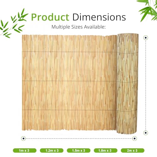 BLADO Reed Fence 1m x 3m - Natural Bamboo Privacy Screen, 8-10mm Thick Garden and Balcony Screening for Outdoor Wind and Sun Protection, Natural Roll Privacy Border Fence Panels for Outdoor Space 2 BLADO Reed Fence 1m x 3m - Natural Bamboo Privacy Screen, 8-10mm Thick Garden and Balcony Screening for Outdoor Wind and Sun Protection, Natural Roll Privacy Border Fence Panels for Outdoor Space - Image 2