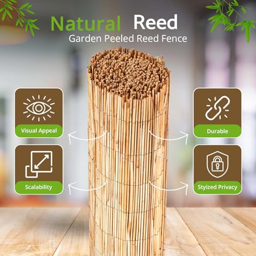 BLADO Reed Fence 1m x 3m - Natural Bamboo Privacy Screen, 8-10mm Thick ...