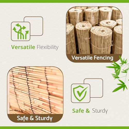 BLADO Reed Fence 1m x 3m - Natural Bamboo Privacy Screen, 8-10mm Thick Garden and Balcony Screening for Outdoor Wind and Sun Protection, Natural Roll Privacy Border Fence Panels for Outdoor Space 5 BLADO Reed Fence 1m x 3m - Natural Bamboo Privacy Screen, 8-10mm Thick Garden and Balcony Screening for Outdoor Wind and Sun Protection, Natural Roll Privacy Border Fence Panels for Outdoor Space - Image 5