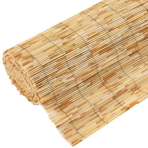 BLADO Reed Fence 1m x 3m - Natural Bamboo Privacy Screen, 8-10mm Thick Garden and Balcony Screening for Outdoor Wind and Sun Protection, Natural Roll Privacy Border Fence Panels for Outdoor Space 1 BLADO Reed Fence 1m x 3m - Natural Bamboo Privacy Screen, 8-10mm Thick Garden and Balcony Screening for Outdoor Wind and Sun Protection, Natural Roll Privacy Border Fence Panels for Outdoor Space