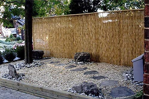 Extra Thick Natural Peeled Reed Fence, Garden Screening Fence Panels, Privacy & Protective Screening Roll for Outdoor Wind and Sun Protection (8mm-10mm Thickness) (1m x 4m) 2 Extra Thick Natural Peeled Reed Fence, Garden Screening Fence Panels, Privacy & Protective Screening Roll for Outdoor Wind and Sun Protection (8mm-10mm Thickness) (1m x 4m) - Image 2