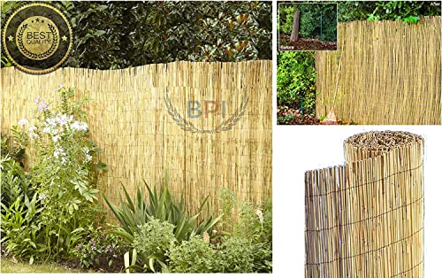 Extra Thick Natural Peeled Reed Fence, Garden Screening Fence Panels, Privacy & Protective Screening Roll for Outdoor Wind and Sun Protection (8mm-10mm Thickness) (1m x 4m) 3 Extra Thick Natural Peeled Reed Fence, Garden Screening Fence Panels, Privacy & Protective Screening Roll for Outdoor Wind and Sun Protection (8mm-10mm Thickness) (1m x 4m) - Image 3