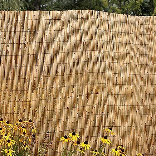 Extra Thick Natural Peeled Reed Fence, Garden Screening Fence Panels, Privacy & Protective Screening Roll for Outdoor Wind and Sun Protection (8mm-10mm Thickness) (1m x 4m) 4 Extra Thick Natural Peeled Reed Fence, Garden Screening Fence Panels, Privacy & Protective Screening Roll for Outdoor Wind and Sun Protection (8mm-10mm Thickness) (1m x 4m) - Image 4