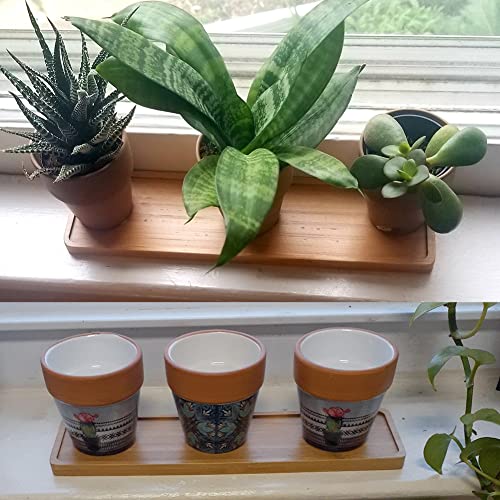 Bamboo Plant Trays, Rectangle Plant Pot Tray Small, Mini Bamboo Stand, Favor Chinese Characteristic Minimalism Succulent Pot, Thickness 0.39", Whole Size 10.4x2.8inches, 1pc 5 Bamboo Plant Trays, Rectangle Plant Pot Tray Small, Mini Bamboo Stand, Favor Chinese Characteristic Minimalism Succulent Pot, Thickness 0.39", Whole Size 10.4x2.8inches, 1pc - Image 5