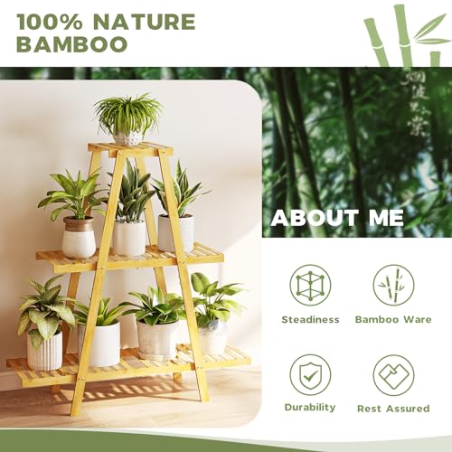 Bamworld Plant Stand For Indoor Outdoor Tiered Plant Shelf 3 Tier 8 Potted Bamboo Flower Holder Ladder Rack For Multiple Triangle Table Plant Pot Stand (Natural 3-Tier) 4 Bamworld Plant Stand For Indoor Outdoor Tiered Plant Shelf 3 Tier 8 Potted Bamboo Flower Holder Ladder Rack For Multiple Triangle Table Plant Pot Stand (Natural 3-Tier) - Image 4