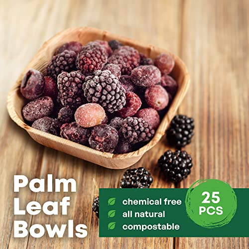 DISPOSABLE GREEN – Square Disposable Bowls, Areca Leaf Serving Bowls, Serving Bowls for Parties, Weddings, Catering, & More, Disposable Bowls for Hot Food & Cold Food, 12L x 12W x 4D cm, 25-Pcs 2 DISPOSABLE GREEN – Square Disposable Bowls, Areca Leaf Serving Bowls, Serving Bowls for Parties, Weddings, Catering, & More, Disposable Bowls for Hot Food & Cold Food, 12L x 12W x 4D cm, 25-Pcs - Image 2