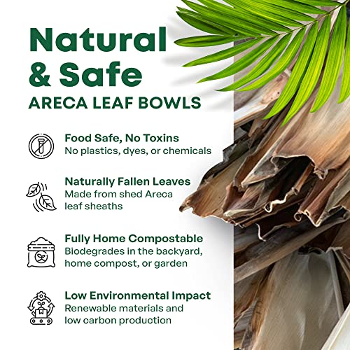 DISPOSABLE GREEN – Square Disposable Bowls, Areca Leaf Serving Bowls, Serving Bowls for Parties, Weddings, Catering, & More, Disposable Bowls for Hot Food & Cold Food, 12L x 12W x 4D cm, 25-Pcs 3 DISPOSABLE GREEN – Square Disposable Bowls, Areca Leaf Serving Bowls, Serving Bowls for Parties, Weddings, Catering, & More, Disposable Bowls for Hot Food & Cold Food, 12L x 12W x 4D cm, 25-Pcs - Image 3
