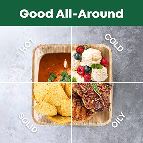 DISPOSABLE GREEN – Square Disposable Bowls, Areca Leaf Serving Bowls, Serving Bowls for Parties, Weddings, Catering, & More, Disposable Bowls for Hot Food & Cold Food, 12L x 12W x 4D cm, 25-Pcs 4 DISPOSABLE GREEN – Square Disposable Bowls, Areca Leaf Serving Bowls, Serving Bowls for Parties, Weddings, Catering, & More, Disposable Bowls for Hot Food & Cold Food, 12L x 12W x 4D cm, 25-Pcs - Image 4