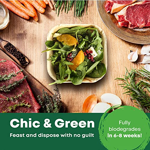 DISPOSABLE GREEN – Square Disposable Bowls, Areca Leaf Serving Bowls, Serving Bowls for Parties, Weddings, Catering, & More, Disposable Bowls for Hot Food & Cold Food, 12L x 12W x 4D cm, 25-Pcs 6 DISPOSABLE GREEN – Square Disposable Bowls, Areca Leaf Serving Bowls, Serving Bowls for Parties, Weddings, Catering, & More, Disposable Bowls for Hot Food & Cold Food, 12L x 12W x 4D cm, 25-Pcs - Image 6