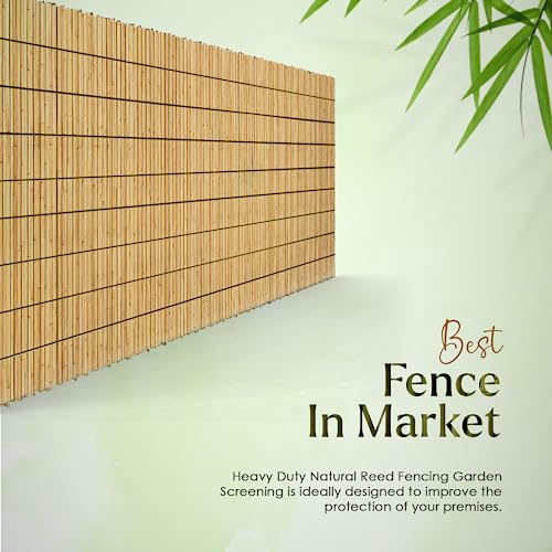 FB FunkyBuys Bamboo Reed Screening – Thick Natural Bamboo Reed Fencing–Garden Screening for Wind Protection– Fence Panels (1M x 3M) 3 FB FunkyBuys Bamboo Reed Screening – Thick Natural Bamboo Reed Fencing–Garden Screening for Wind Protection– Fence Panels (1M x 3M) - Image 3