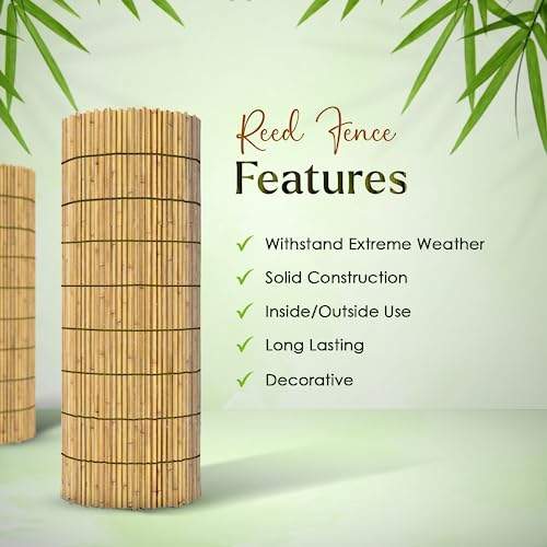 FB FunkyBuys Bamboo Reed Screening – Thick Natural Bamboo Reed Fencing–Garden Screening for Wind Protection– Fence Panels (1M x 3M) 4 FB FunkyBuys Bamboo Reed Screening – Thick Natural Bamboo Reed Fencing–Garden Screening for Wind Protection– Fence Panels (1M x 3M) - Image 4
