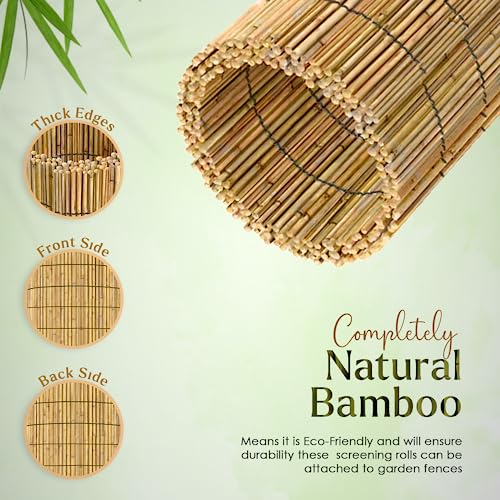 FB FunkyBuys Bamboo Reed Screening – Thick Natural Bamboo Reed Fencing–Garden Screening for Wind Protection– Fence Panels (1M x 3M) 5 FB FunkyBuys Bamboo Reed Screening – Thick Natural Bamboo Reed Fencing–Garden Screening for Wind Protection– Fence Panels (1M x 3M) - Image 5