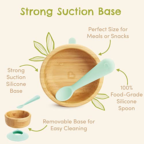 Munchkin Bambou Baby Bowl| Bamboo Bowl for Weaning| Baby Suction Bowl & Spoon Set| for Babies & Toddlers 6 Months & Over| BPA Free Weaning Set for Babies & Kids 2 Munchkin Bambou Baby Bowl| Bamboo Bowl for Weaning| Baby Suction Bowl & Spoon Set| for Babies & Toddlers 6 Months & Over| BPA Free Weaning Set for Babies & Kids - Image 2