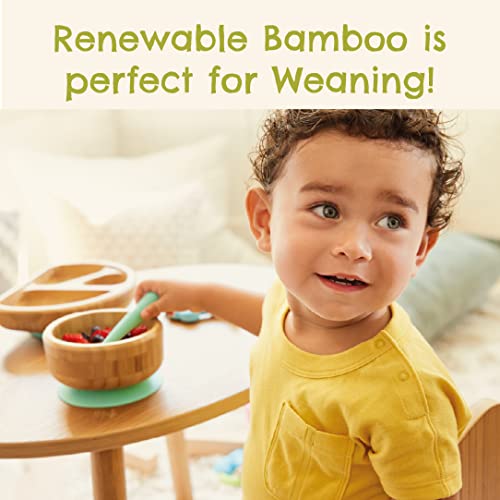 Munchkin Bambou Baby Bowl| Bamboo Bowl for Weaning| Baby Suction Bowl & Spoon Set| for Babies & Toddlers 6 Months & Over| BPA Free Weaning Set for Babies & Kids 5 Munchkin Bambou Baby Bowl| Bamboo Bowl for Weaning| Baby Suction Bowl & Spoon Set| for Babies & Toddlers 6 Months & Over| BPA Free Weaning Set for Babies & Kids - Image 5