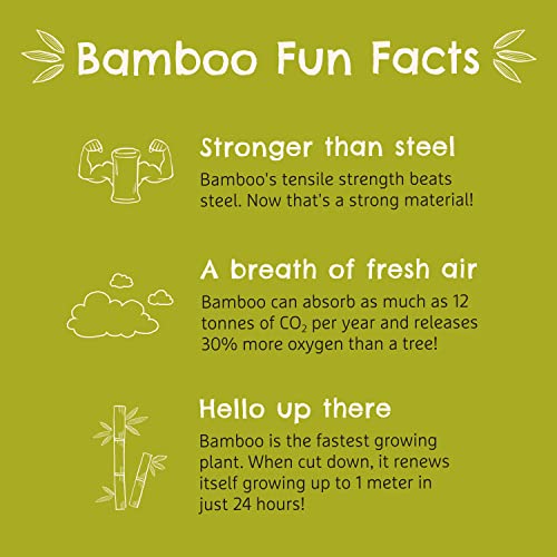 Munchkin Bambou Baby Bowl| Bamboo Bowl for Weaning| Baby Suction Bowl & Spoon Set| for Babies & Toddlers 6 Months & Over| BPA Free Weaning Set for Babies & Kids 6 Munchkin Bambou Baby Bowl| Bamboo Bowl for Weaning| Baby Suction Bowl & Spoon Set| for Babies & Toddlers 6 Months & Over| BPA Free Weaning Set for Babies & Kids - Image 6