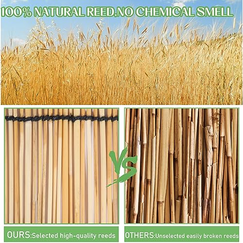 HIDALIFE Reed Privacy Fence, 4FT X 16.4FT Natural Reed Fencing Rolls - Eco-Friendly for Garden, Balcony, Outdoor, Backyard Patio Decors - Includes 50 Zip Ties 3 HIDALIFE Reed Privacy Fence, 4FT X 16.4FT Natural Reed Fencing Rolls - Eco-Friendly for Garden, Balcony, Outdoor, Backyard Patio Decors - Includes 50 Zip Ties - Image 3