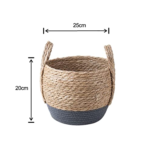 Eden & Willow Natural Straw Woven Plant Storage Basket, Home Organisation Hamper Basket with Handles (Grey, Small) 2 Eden & Willow Natural Straw Woven Plant Storage Basket, Home Organisation Hamper Basket with Handles (Grey, Small) - Image 2
