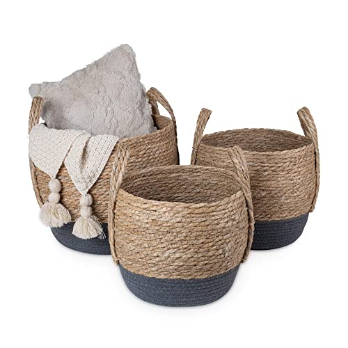 Eden & Willow Natural Straw Woven Plant Storage Basket, Home Organisation Hamper Basket with Handles (Grey, Small) 3 Eden & Willow Natural Straw Woven Plant Storage Basket, Home Organisation Hamper Basket with Handles (Grey, Small) - Image 3