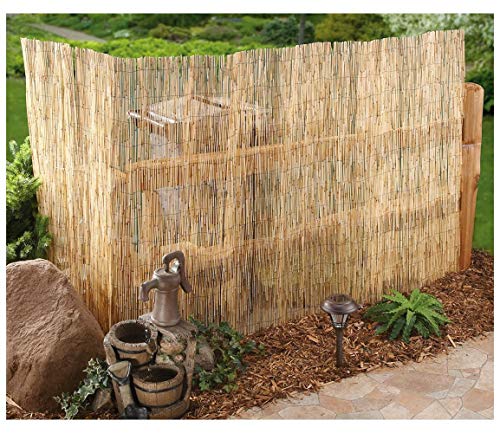 Reed Fence Natural Garden Peeled Reed Screening Roll Privacy Border Wind/Sun Fencing (Size 1.5x4m) 4 Reed Fence Natural Garden Peeled Reed Screening Roll Privacy Border Wind/Sun Fencing (Size 1.5x4m) - Image 4