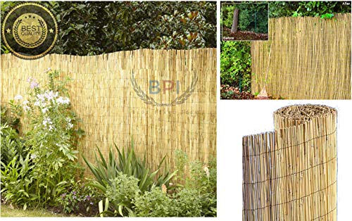 Reed Fence Natural Garden Peeled Reed Screening Roll Privacy Border Wind/Sun Fencing (Size 1.5x4m) 5 Reed Fence Natural Garden Peeled Reed Screening Roll Privacy Border Wind/Sun Fencing (Size 1.5x4m) - Image 5