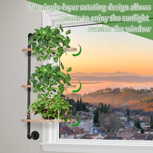 Whchiy Rotating Window Plant Shelves Indoor 3-Tier Wooden Plant Stand Window Shelf for Plants Wall Plant Holder for Plant Lovers for Living rooms, Bedrooms,Balcony 4 Whchiy Rotating Window Plant Shelves Indoor 3-Tier Wooden Plant Stand Window Shelf for Plants Wall Plant Holder for Plant Lovers for Living rooms, Bedrooms,Balcony - Image 4