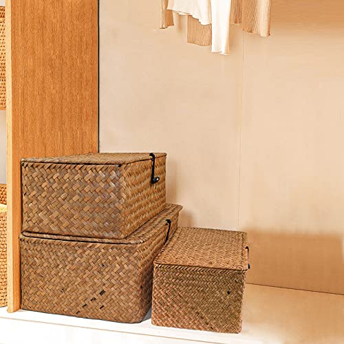 Wicker Storage Basket Woven Rattan Storage Box With Lids Seagrass Laundry Baskets Makeup Organizer For Bathroom, Living Room, Kitchen (L) 3 Wicker Storage Basket Woven Rattan Storage Box With Lids Seagrass Laundry Baskets Makeup Organizer For Bathroom, Living Room, Kitchen (L) - Image 3