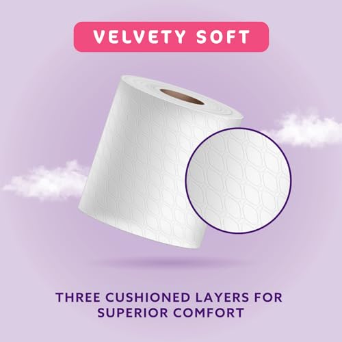 by Amazon Toilet Roll, 3-ply Quilted, Velvety Soft, 45 Rolls (5 Packs of 9), 200 Sheets per Roll, FSC Certified 5 by Amazon Toilet Roll, 3-ply Quilted, Velvety Soft, 45 Rolls (5 Packs of 9), 200 Sheets per Roll, FSC Certified - Image 5