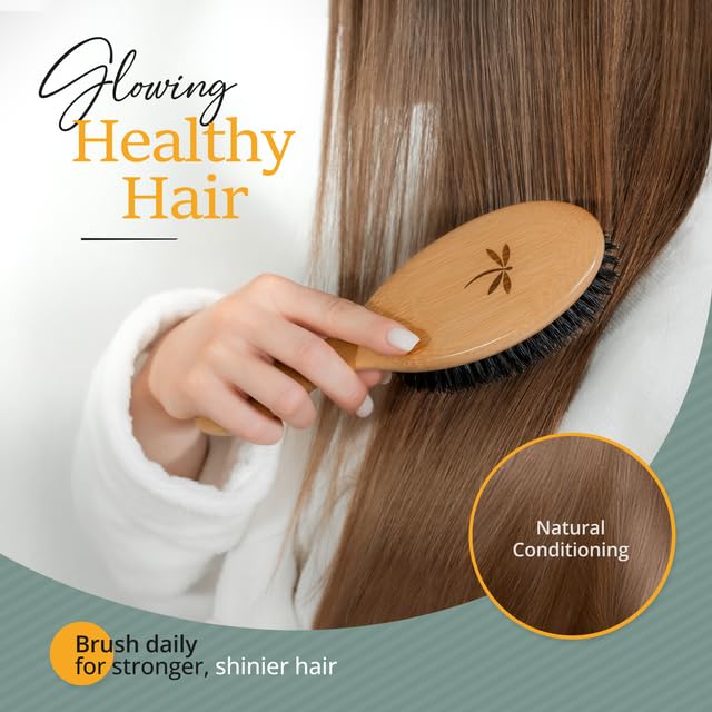 Belula 100% Boar Bristle Hair Brush Set (Medium). Soft Natural Bristles for Thin and Fine Hair. Restore Shine And Texture. Wooden Comb, Travel Bag and Spa Headband Included! 5 Belula 100% Boar Bristle Hair Brush Set (Medium). Soft Natural Bristles for Thin and Fine Hair. Restore Shine And Texture. Wooden Comb, Travel Bag and Spa Headband Included! - Image 5