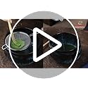 TEANAGOO Matcha Whisk, 7 Pcs Matcha Set with Holder/Scoop/Sifter, Matcha Kit for Ceremony, Matcha Tea Set for Making Breakfast/Latte, Matcha Whisk Set and Ceramic Bowl, Gift for Friend/Family 7 TEANAGOO Matcha Whisk, 7 Pcs Matcha Set with Holder/Scoop/Sifter, Matcha Kit for Ceremony, Matcha Tea Set for Making Breakfast/Latte, Matcha Whisk Set and Ceramic Bowl, Gift for Friend/Family - Image 7