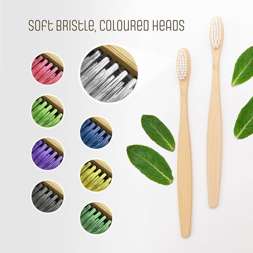 The Clean Toothbrush | Eco-Friendly and Socially Responsible Manual Toothbrush | Pack of 2 | Made from 100% Biodegradable, Sustainably Grown Moso Bamboo 2 The Clean Toothbrush | Eco-Friendly and Socially Responsible Manual Toothbrush | Pack of 2 | Made from 100% Biodegradable, Sustainably Grown Moso Bamboo - Image 2