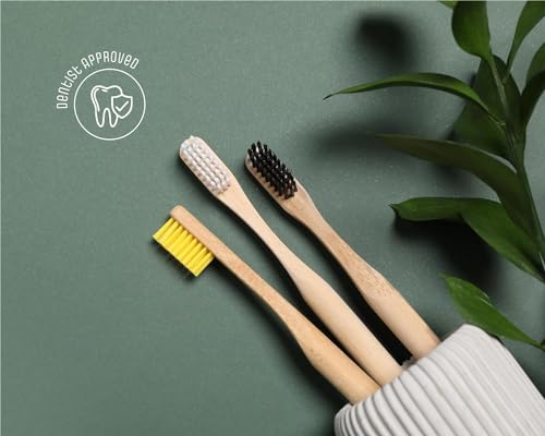 The Clean Toothbrush | Eco-Friendly and Socially Responsible Manual Toothbrush | Pack of 2 | Made from 100% Biodegradable, Sustainably Grown Moso Bamboo 3 The Clean Toothbrush | Eco-Friendly and Socially Responsible Manual Toothbrush | Pack of 2 | Made from 100% Biodegradable, Sustainably Grown Moso Bamboo - Image 3