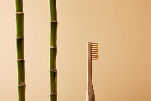 The Clean Toothbrush | Eco-Friendly and Socially Responsible Manual Toothbrush | Pack of 2 | Made from 100% Biodegradable, Sustainably Grown Moso Bamboo 5 The Clean Toothbrush | Eco-Friendly and Socially Responsible Manual Toothbrush | Pack of 2 | Made from 100% Biodegradable, Sustainably Grown Moso Bamboo - Image 5