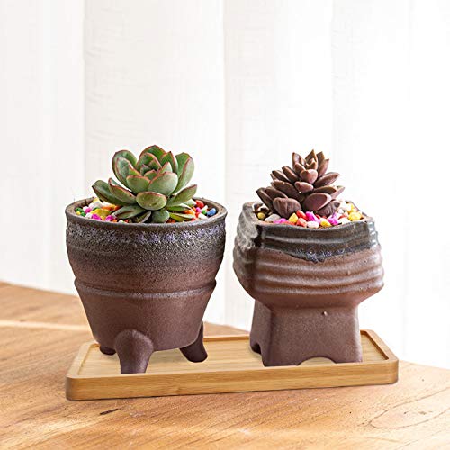 Yarlung 10 Pack Rectanglar Small Bamboo Saucers, 17.8x8.6 cm Plant Pot Drainage Trays for Succulent, Cactus, Bonsai Flower, Small Indoor Planters, Living Room, Balcony, Home Decor 6 Yarlung 10 Pack Rectanglar Small Bamboo Saucers, 17.8x8.6 cm Plant Pot Drainage Trays for Succulent, Cactus, Bonsai Flower, Small Indoor Planters, Living Room, Balcony, Home Decor - Image 6
