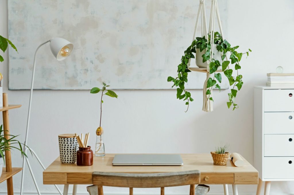 Stylish and boho home interior of open space